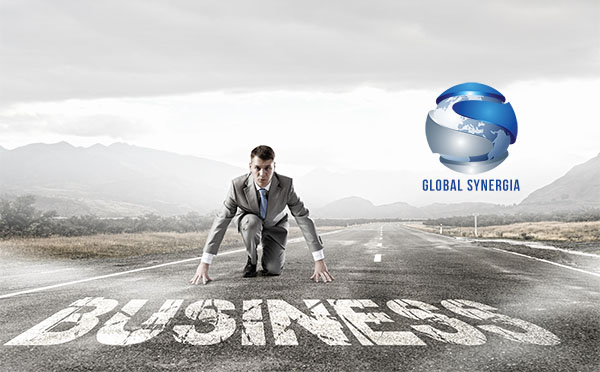 Global Synergia